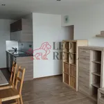 Pronajměte si 2 ložnic/e byt o rozloze 43 m² v Prague