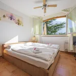 Rent 1 bedroom apartment of 29 m² in Paradiso