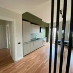 Rent 4 bedroom apartment of 110 m² in Milan