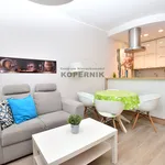 Rent 3 bedroom apartment of 57 m² in Toruń