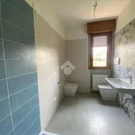 Rent 3 bedroom apartment of 100 m² in Cortemaggiore