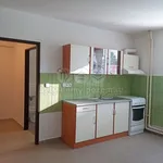 Pronajměte si 1 ložnic/e byt o rozloze 24 m² v Březnice