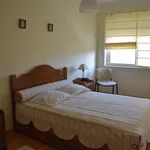 Rent 1 bedroom apartment in Lisbon