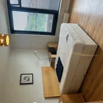 Rent 1 bedroom apartment in Dublin