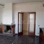 Rent 6 bedroom apartment of 110 m² in Impruneta