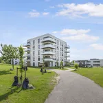 Rent 3 bedroom apartment of 84 m² in Aarhus N