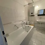 Rent 3 bedroom apartment of 100 m² in Capital City of Prague