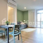 Rent 1 bedroom apartment of 35 m² in Turin