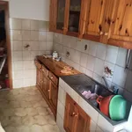 Rent 2 bedroom apartment of 80 m² in Roma