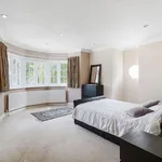 Rent 6 bedroom apartment in London