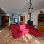 Rent 4 bedroom apartment of 120 m² in Padova 