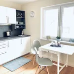 Rent 1 bedroom apartment of 26 m² in Friedrichsdorf