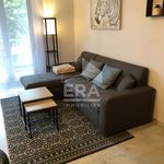 Appartement de 39 m² avec 2 chambre(s) en location à cagnes-sur-mer