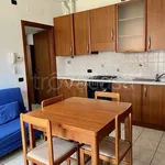 Rent 2 bedroom apartment of 50 m² in Cesano Maderno