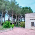 Rent 5 bedroom house of 180 m² in Cisternino