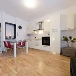 Rent 1 bedroom apartment of 45 m² in Genoa