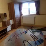 Rent 1 bedroom apartment of 24 m² in Timisoara