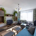 Rent 2 bedroom apartment of 49 m² in Rakovník