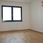 Rent 4 bedroom apartment of 122 m² in Prague