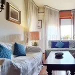 Rent 3 bedroom apartment of 102 m² in Rome