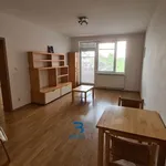 Rent 2 bedroom apartment in Capital City of Prague