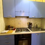 Rent 2 bedroom apartment of 53 m² in Padua