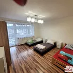 Rent 1 bedroom house of 260 m² in Włocławek