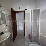 Rent 3 bedroom apartment of 70 m² in Alessandria