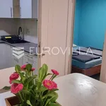 Najam 1 spavaće sobe stan od 43 m² u Rovinj