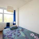 Huur 3 slaapkamer appartement van 120 m² in 's-Gravenhage