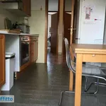 Rent 3 bedroom apartment of 105 m² in Milan