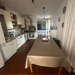 Rent 6 bedroom apartment of 120 m² in Vittoria Apuana