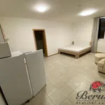 Rent 1 bedroom apartment of 33 m² in Prague