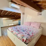 Rent 3 bedroom apartment of 110 m² in florence