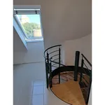 Rent 1 bedroom apartment of 100 m² in Pécs