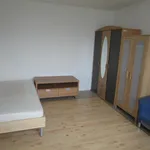 Rent 1 bedroom apartment of 36 m² in Ústí nad Labem