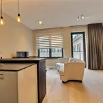 Rent 1 bedroom apartment in Brussels