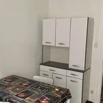 Appartement de 26 m² avec 2 chambre(s) en location à Vienne