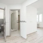 Pronajměte si 3 ložnic/e byt o rozloze 63 m² v Prague