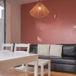 Rent 2 bedroom apartment in madrid