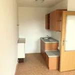 Rent 1 bedroom apartment of 50 m² in Město: