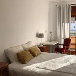 Rent 4 bedroom apartment in Lisbon