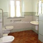 Rent 2 bedroom house of 62 m² in Lucca