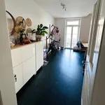 Rent 3 bedroom apartment in Basel