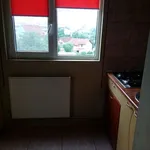 Rent 2 bedroom apartment of 54 m² in Timisoara