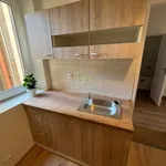 Rent 2 bedroom apartment in Rokycany