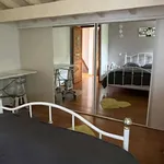 Rent 6 bedroom house of 170 m² in Irissarry