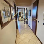 Rent 7 bedroom apartment of 302 m² in Castelletto sopra Ticino