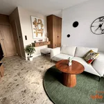 Rent 2 bedroom apartment of 40 m² in Poznan