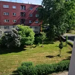 Rent 2 bedroom apartment in Hradec Králové